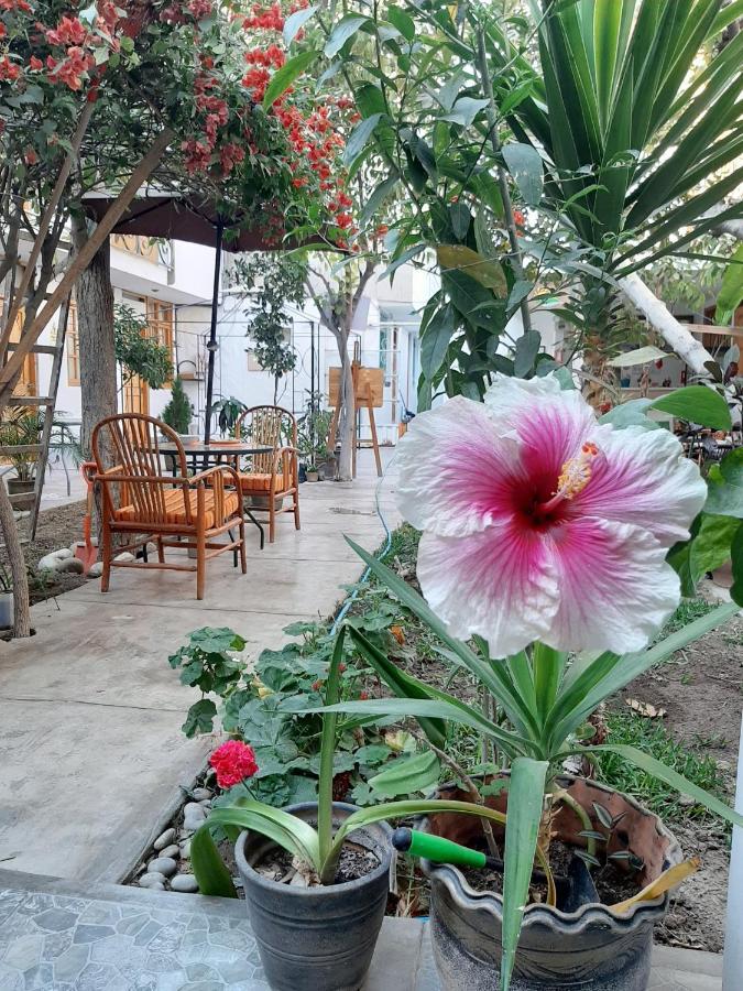 El Huerto Hostel Ica Eksteriør bilde